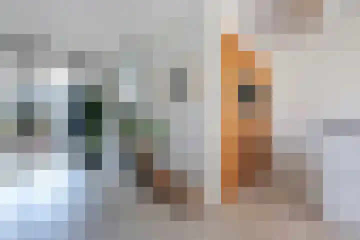 Duizendbladweg 47 Heerhugowaard thumbnail 12