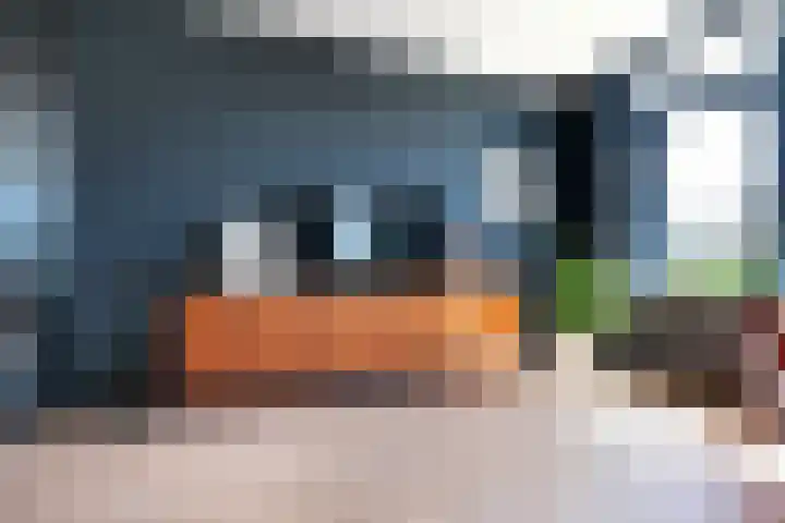 Duizendbladweg 47 Heerhugowaard thumbnail 18