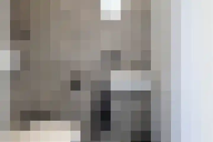 Duizendbladweg 47 Heerhugowaard thumbnail 22