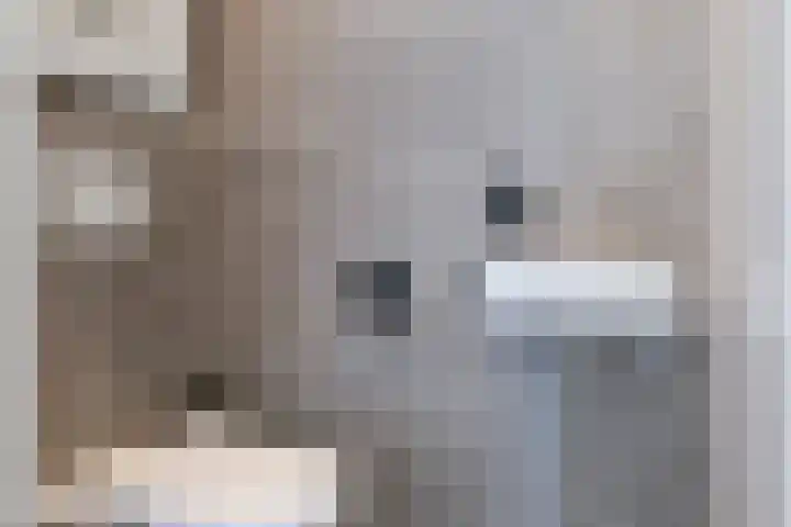 Duizendbladweg 47 Heerhugowaard thumbnail 26