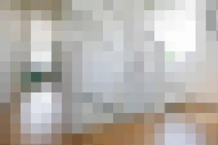 Duizendbladweg 47 Heerhugowaard thumbnail 34