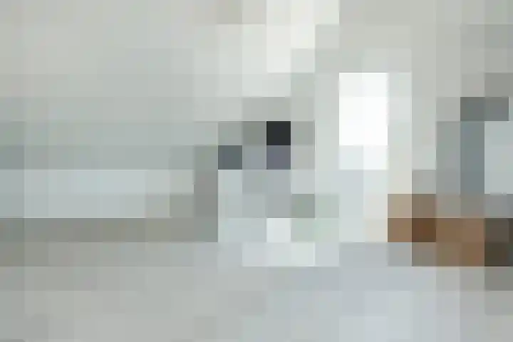 Duizendbladweg 47 Heerhugowaard thumbnail 35