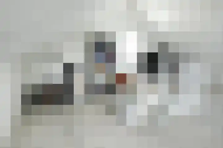 Duizendbladweg 47 Heerhugowaard thumbnail 37