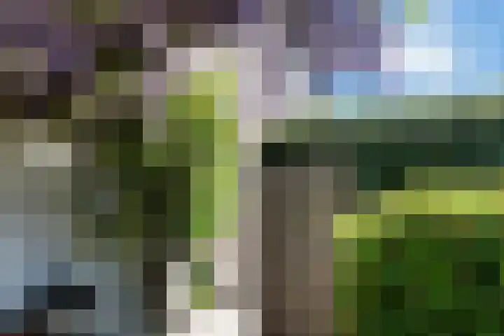 Duizendbladweg 47 Heerhugowaard thumbnail 45
