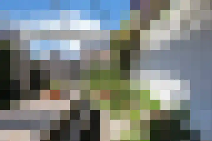 Duizendbladweg 47 Heerhugowaard thumbnail 46