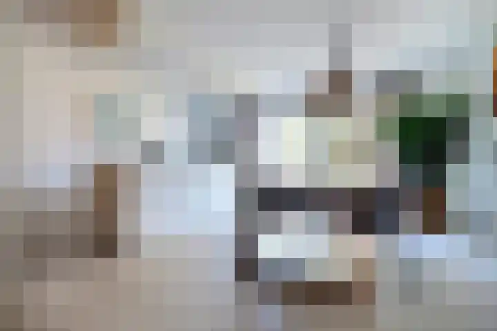 Duizendbladweg 47 Heerhugowaard thumbnail 5