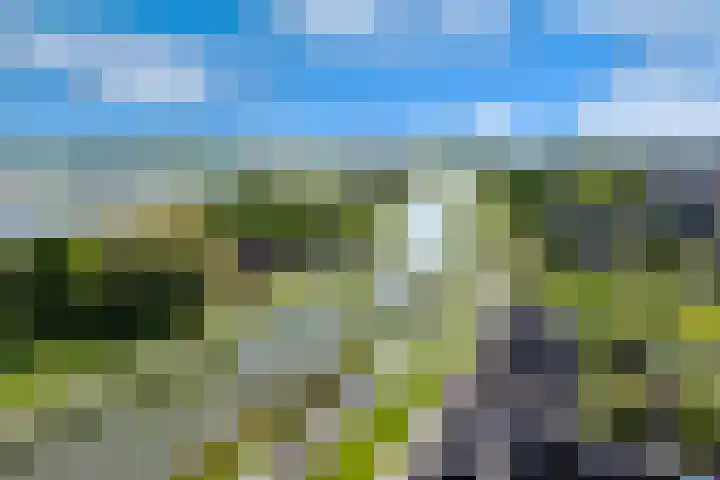 Duizendbladweg 47 Heerhugowaard thumbnail 50