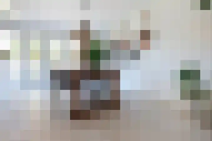 Duizendbladweg 47 Heerhugowaard thumbnail 6