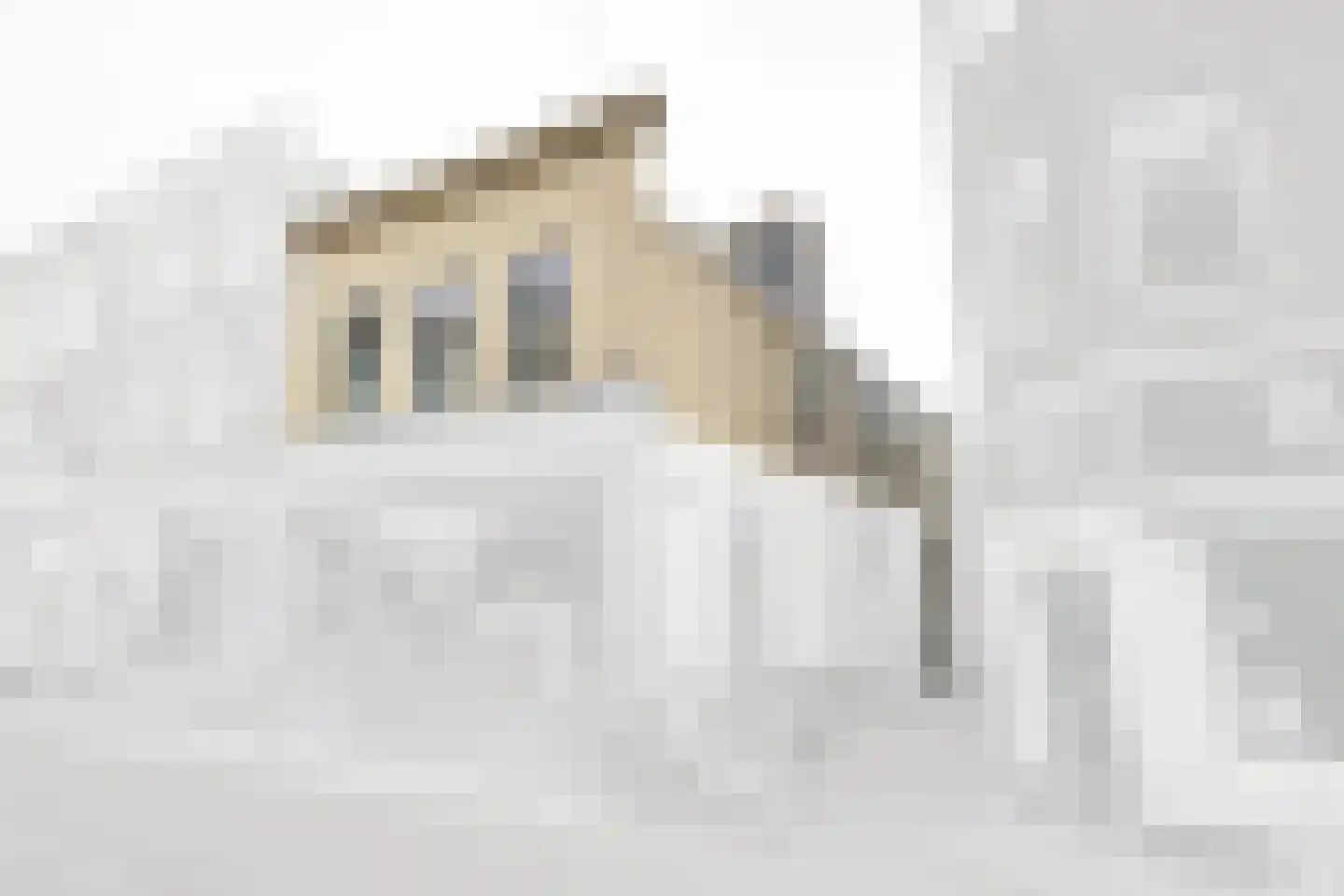 Duizenddraadsteeg 2 Leiden thumbnail 27