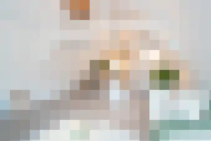 Duizenddraadsteeg 3 C Leiden thumbnail 15