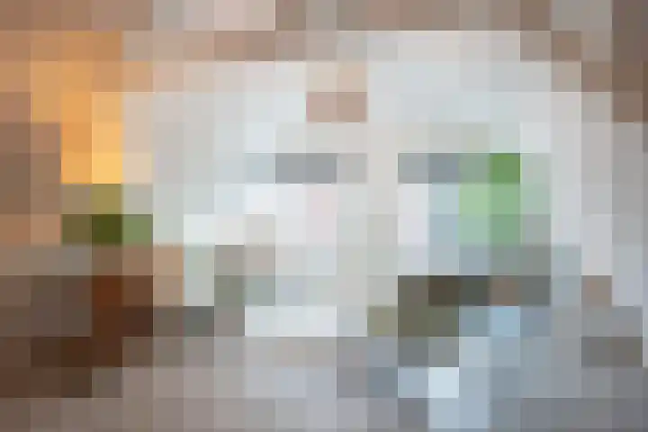 Duizenddraadsteeg 3 C Leiden thumbnail 16