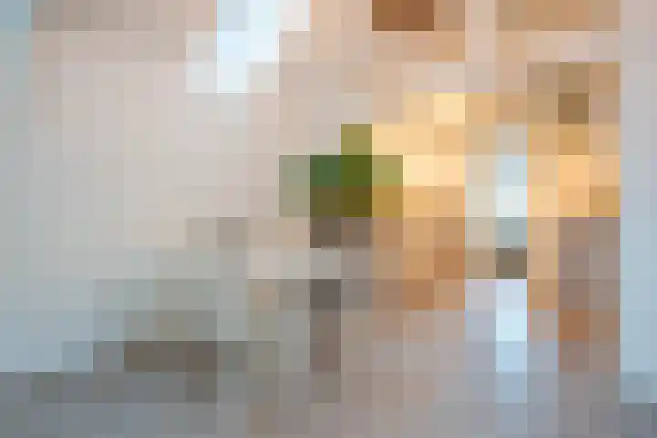 Duizenddraadsteeg 3 C Leiden thumbnail 17