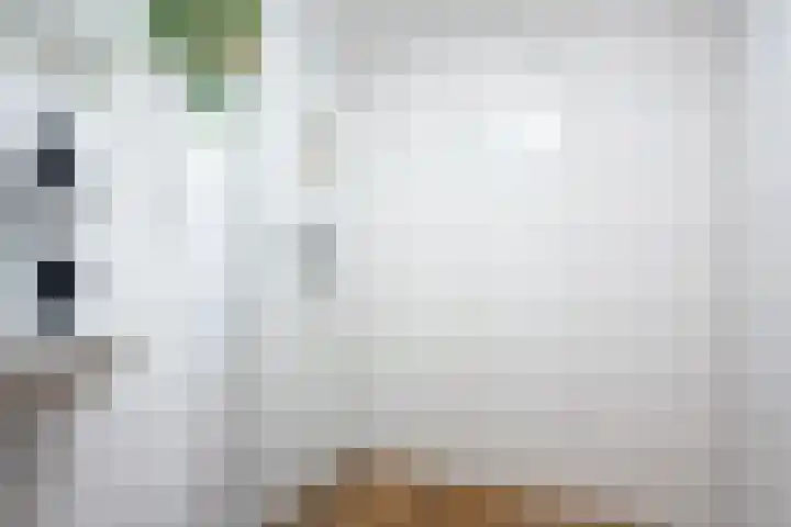 Duizenddraadsteeg 3 C Leiden thumbnail 35