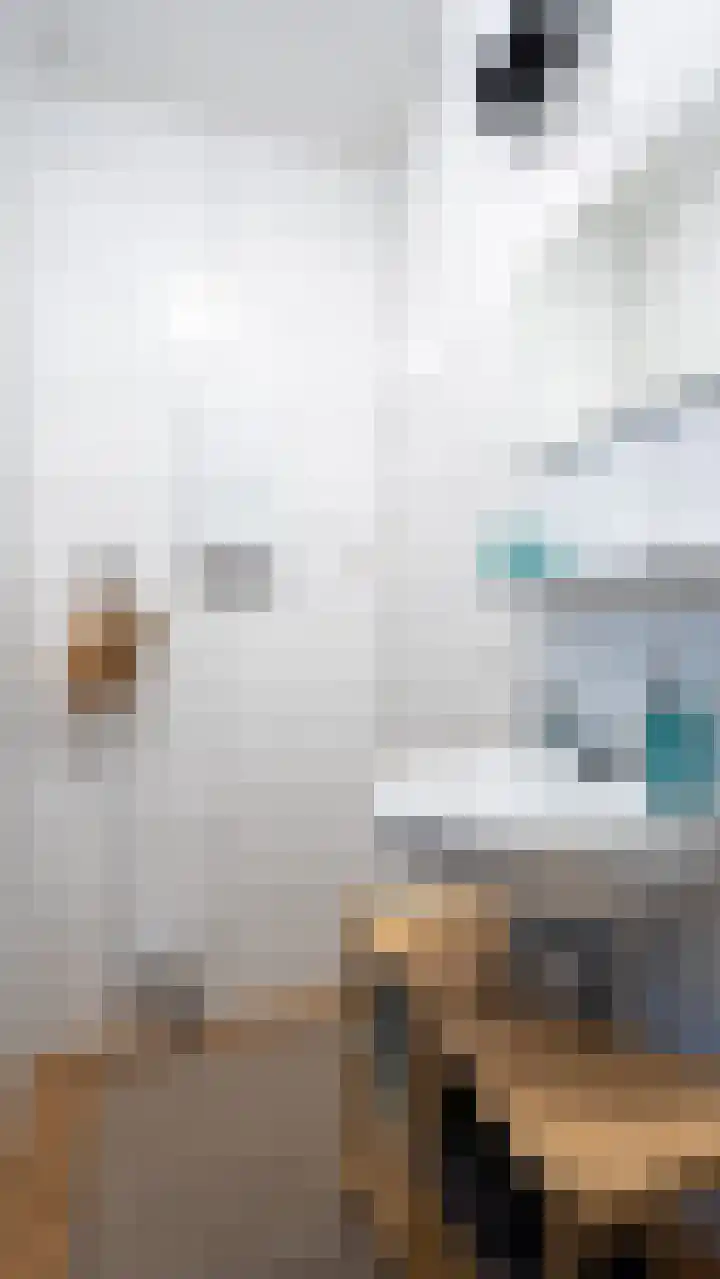 Duizenddraadsteeg 3 E Leiden thumbnail 34