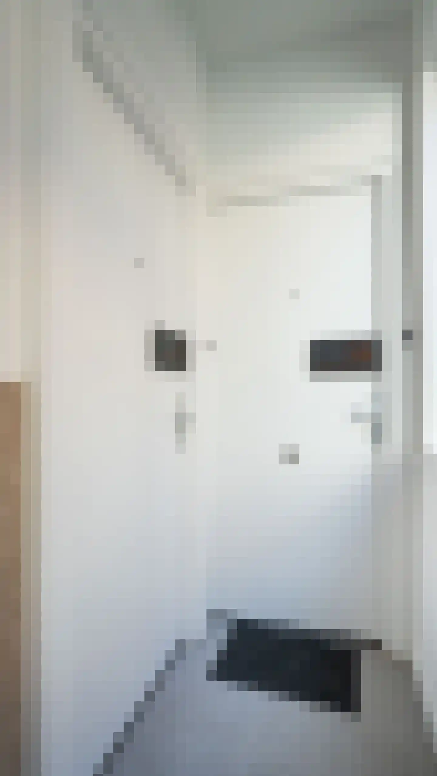 Duizenddraadsteeg 3 F Leiden thumbnail 11