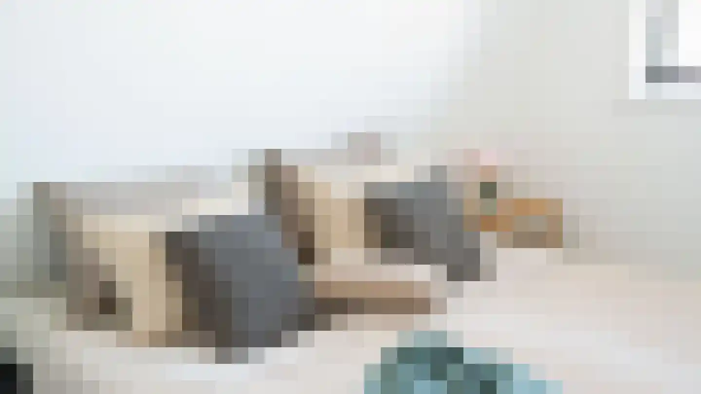 Duizenddraadsteeg 3 F Leiden thumbnail 38