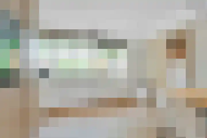 Duizendguldenkruid 39 Amersfoort thumbnail 10