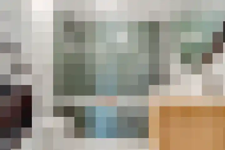 Duizendguldenkruid 39 Amersfoort thumbnail 19