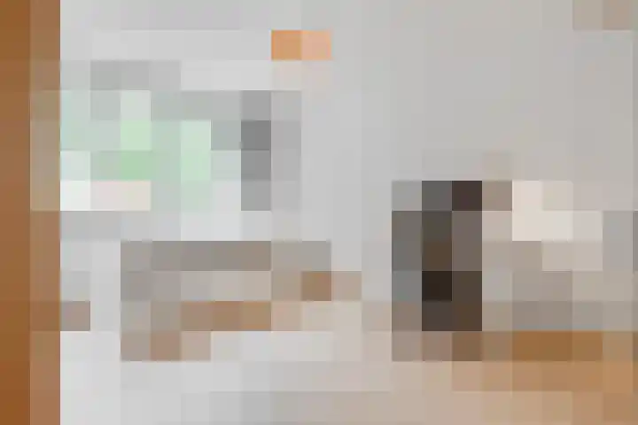 Duizendguldenkruid 39 Amersfoort thumbnail 22