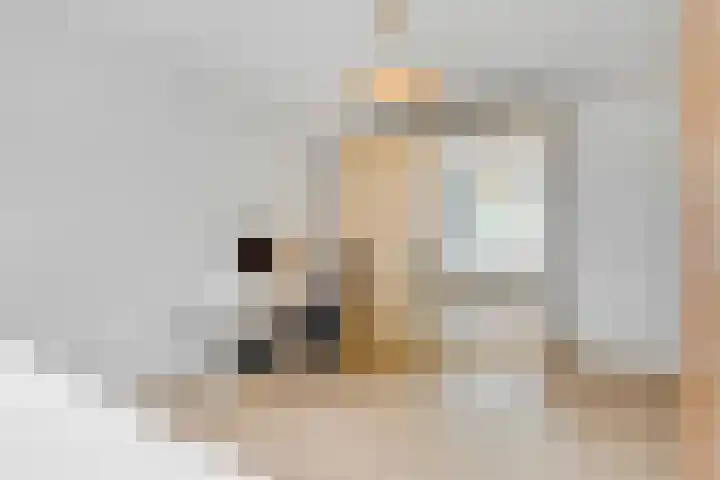 Duizendguldenkruid 39 Amersfoort thumbnail 24