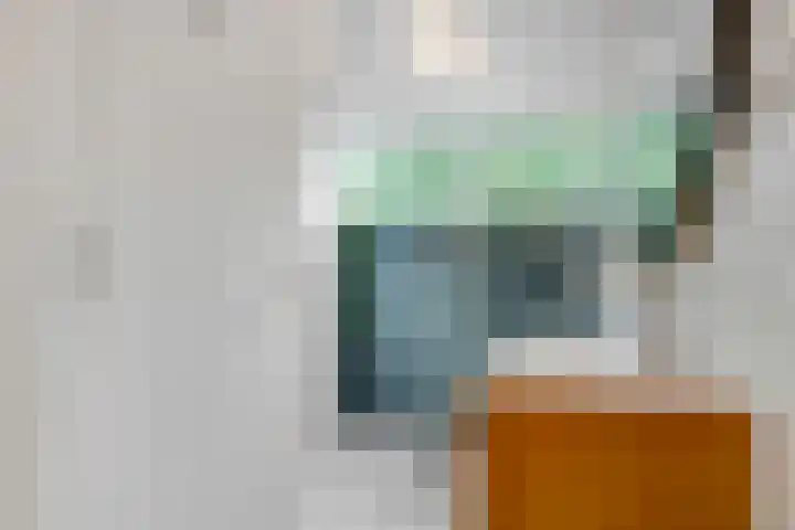 Duizendguldenkruid 39 Amersfoort thumbnail 27