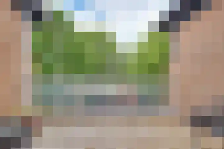 Duizendguldenkruid 39 Amersfoort thumbnail 33
