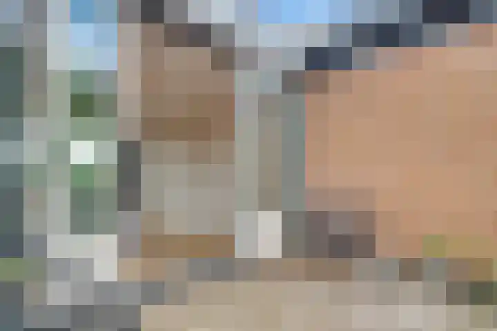 Duizendguldenkruid 39 Amersfoort thumbnail 34