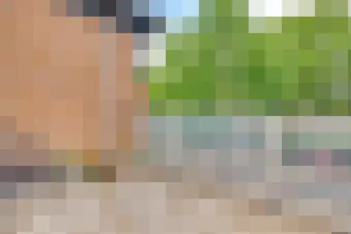 Duizendguldenkruid 39 Amersfoort thumbnail 35