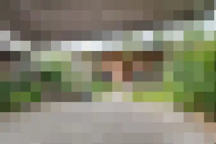 Duizendguldenkruid 39 Amersfoort thumbnail 37