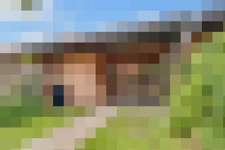Duizendguldenkruid 39 Amersfoort thumbnail 38