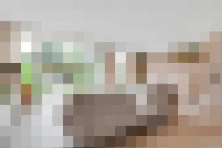 Duizendguldenkruid 39 Amersfoort thumbnail 4