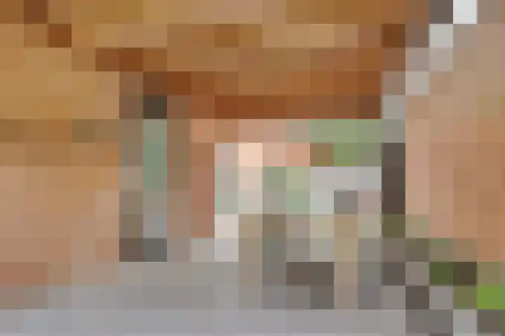 Duizendguldenkruid 39 Amersfoort thumbnail 41