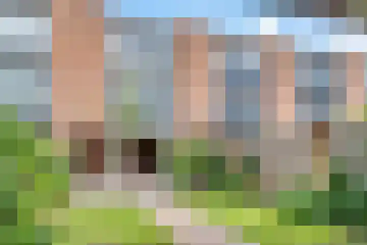 Duizendguldenkruid 39 Amersfoort thumbnail 44
