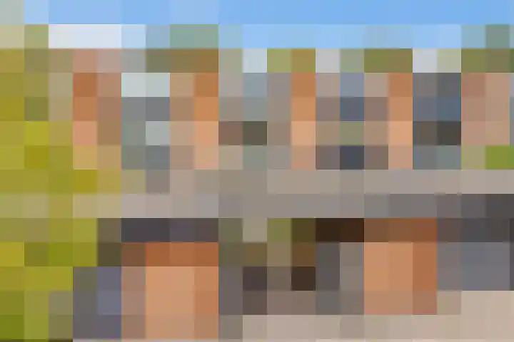 Duizendguldenkruid 39 Amersfoort thumbnail 46