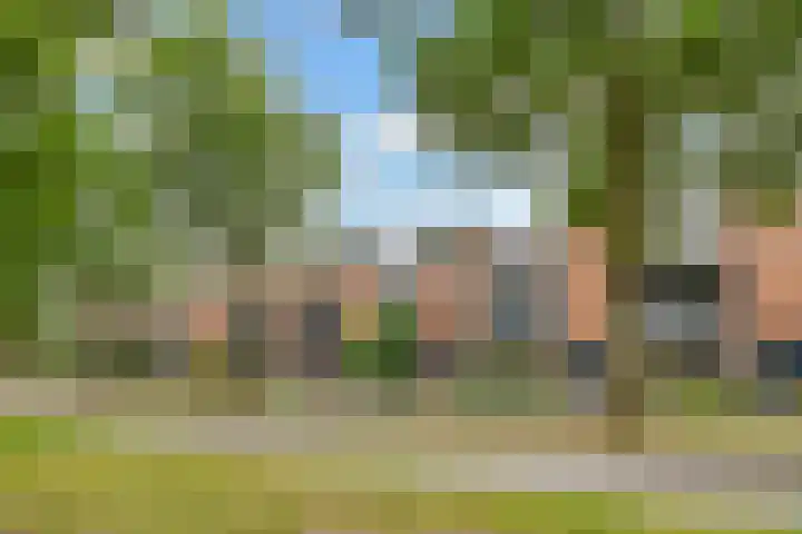 Duizendguldenkruid 39 Amersfoort thumbnail 49