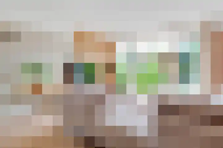 Duizendguldenkruid 39 Amersfoort thumbnail 5