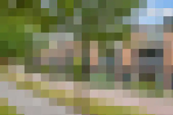 Duizendguldenkruid 39 Amersfoort thumbnail 50