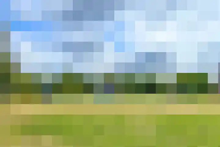 Duizendguldenkruid 39 Amersfoort thumbnail 52