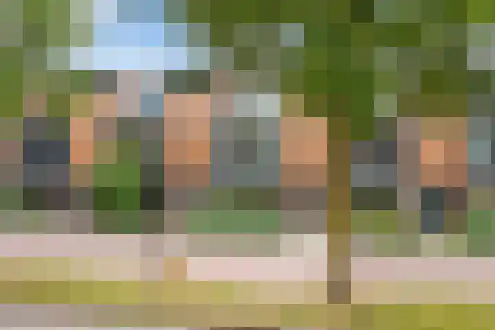 Duizendguldenkruid 39 Amersfoort thumbnail 59