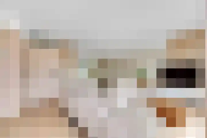 Duizendguldenkruid 39 Amersfoort thumbnail 6