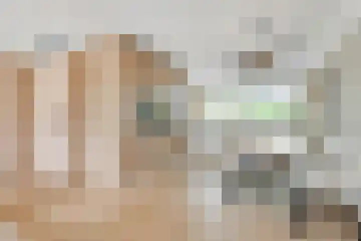 Duizendguldenkruid 39 Amersfoort thumbnail 8