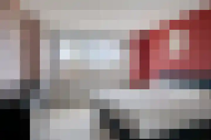 Duizendguldenkruid 55 Amersfoort thumbnail 11