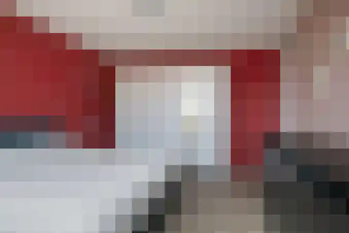 Duizendguldenkruid 55 Amersfoort thumbnail 12