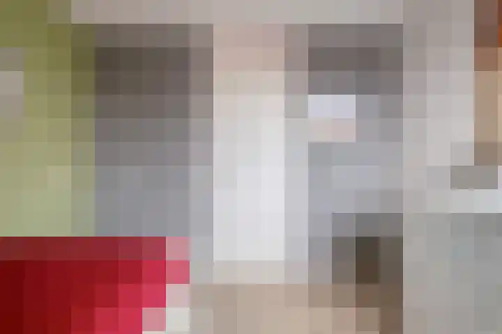 Duizendguldenkruid 55 Amersfoort thumbnail 18