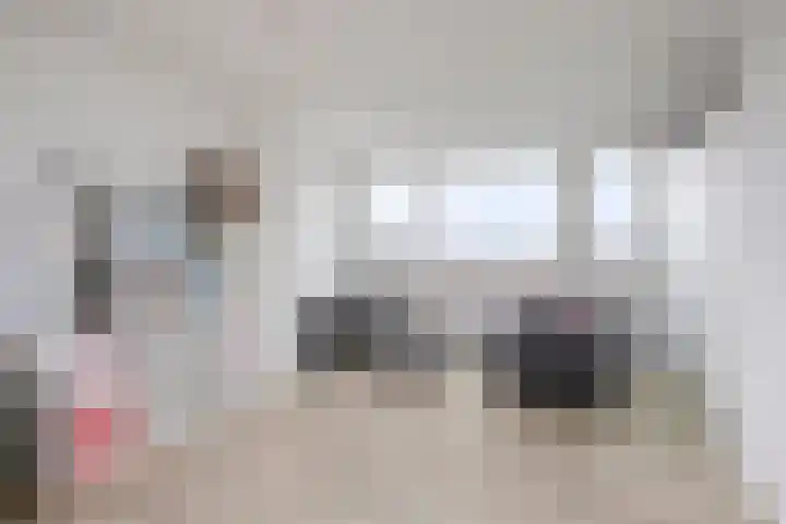 Duizendguldenkruid 55 Amersfoort thumbnail 19