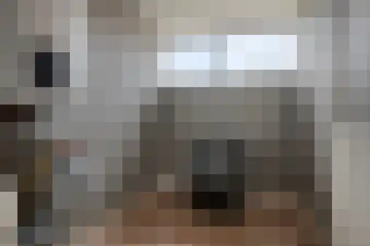 Duizendguldenkruid 55 Amersfoort thumbnail 24
