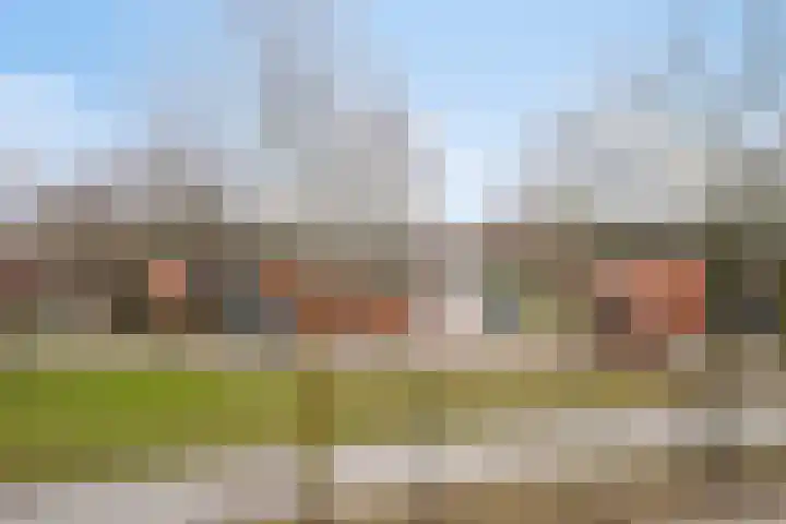 Duizendguldenkruid 55 Amersfoort thumbnail 25