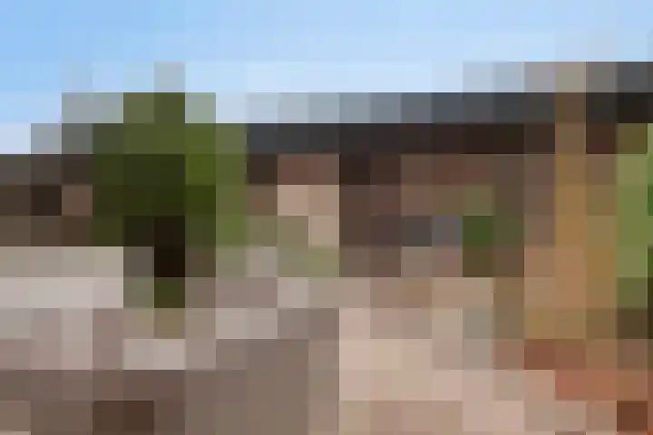 Duizendguldenkruid 55 Amersfoort thumbnail 26