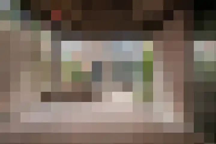 Duizendguldenkruid 55 Amersfoort thumbnail 28