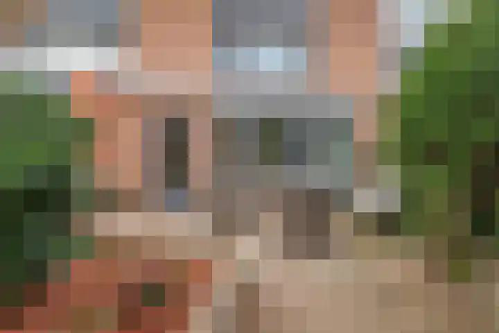 Duizendguldenkruid 55 Amersfoort thumbnail 29